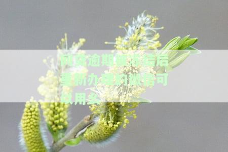 网贷逾期会影响微信、支付宝使用及聊天吗？