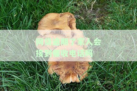 网贷逾期联系家人催收违法吗，网贷逾期：催收人员联系家人是否违法？