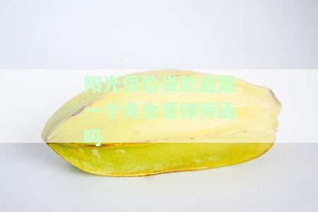 阳光保险贷款逾期一个月会寄律师函吗？安全吗？不还会有什么后果？可以协商还款吗？