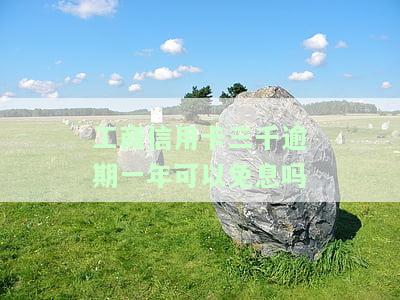 欠工商信用卡三千块逾期一年会起诉吗，欠款3000元的工商信用卡逾期一年，是否会面临被起诉的风险？