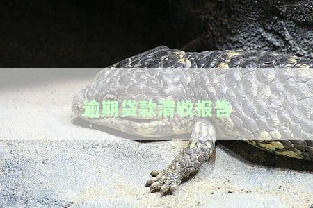 逾期贷款清收报告怎么写，如何撰写逾期贷款清收报告？一份全面的指南