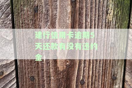 建设银行信用卡逾期四天会影响征信及房贷吗？