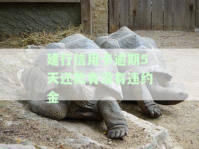 建行信用卡逾期5天还款有没有违约金-建行信用卡逾期5天还款有没有违约金啊