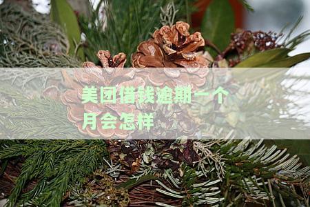 美团借钱逾期一个月会怎样处理，美团借钱逾期一个月的处理方式