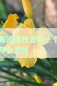 美团借钱逾期一个月会怎样-美团借钱逾期一个月会怎样处理