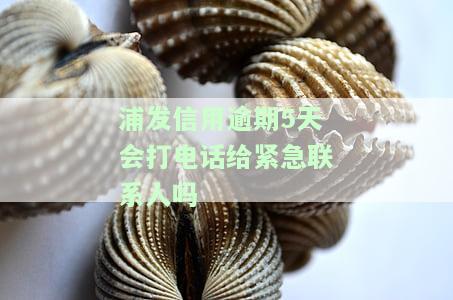 浦发信用逾期5天会打电话给紧急联系人吗，浦发信用卡逾期5天，紧急联系人会被电话通知吗？