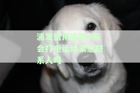 浦发逾期4天打电话要求全额还款失约未还，是否会封卡？