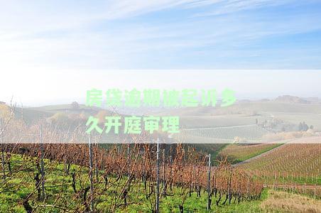 房贷逾期被起诉多久开庭审理案件，房贷逾期：从起诉到开庭，你需要了解的时间安排