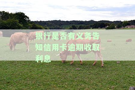 银行是否有义务告知信用卡逾期收取利息