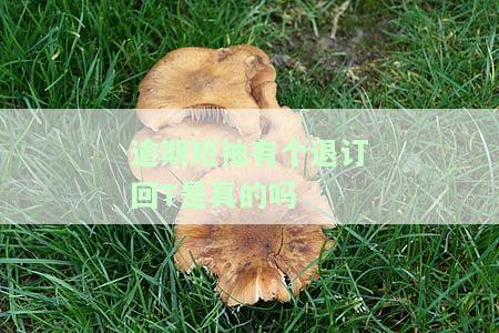 逾期短信退订，轻松解决烦恼：如何取消逾期短信提醒？