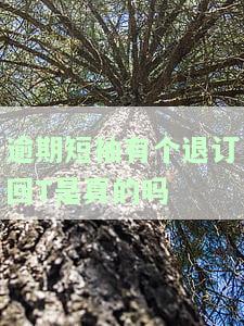 逾期短信没有退订，如何取消逾期短信通知？