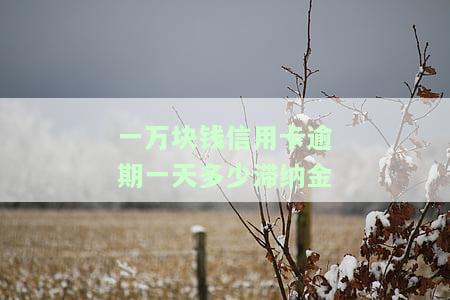 一万块钱信用卡逾期一天多少滞纳金-一万块钱信用卡逾期一天多少滞纳金啊