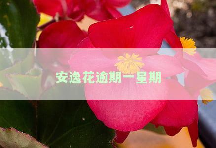 安逸花逾期一个星期以内会爆通讯录吗，安逸花逾期一周内是否会爆通讯录？