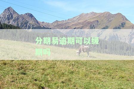 分期易逾期最多拖多久？超过期限会否被催收？
