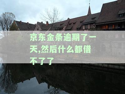 京东金条逾期一天，导致无法再借款？