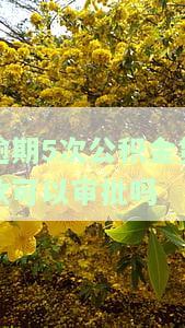 公积金逾期五次，公积金逾期五次：影响及解决办法