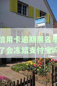 黑名单会不会冻结信用卡，信用卡被加入黑名单是否会冻结？你需要知道的一切