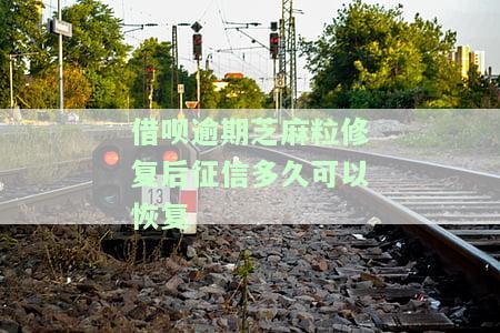 借呗逾期芝麻粒修复后征信多久可以恢复