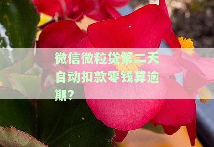 微粒贷次日自动扣款会影响征信吗？该怎么做？