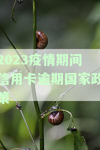 2020年疫情下信用卡逾期的新规定
