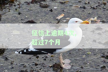 个人征信逾期4次没超过90天，如何处理个人征信逾期4次但未超过90天的情况？