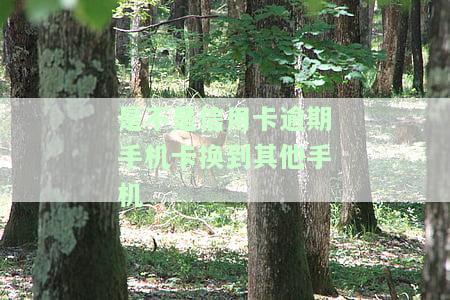全面逾期换手机卡：有何影响？会有什么后果？