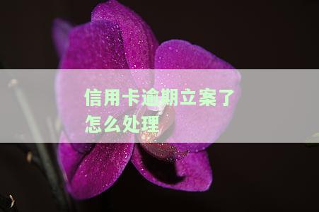 信用卡逾期立案后，如何快速解决？