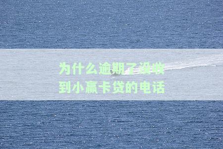 为什么逾期未收到小赢卡贷电话通知？如何处理催收问题？