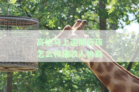 高炮怎么催收会给谁打电话，揭秘高炮催收：他们会打给谁的电话？