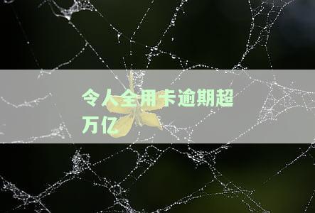 令人全用卡逾期超万亿