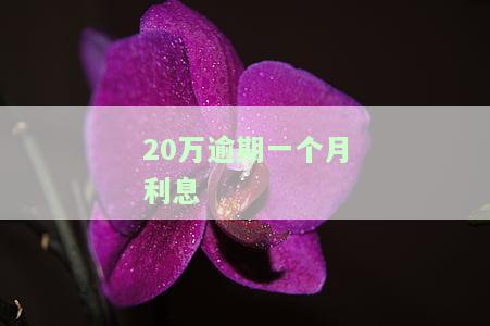 20万逾期一个月利息多少？精确计算方法解析