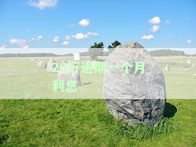 20万贷款逾期一个月多少罚息，逾期一个月，20万贷款需要支付多少罚息？