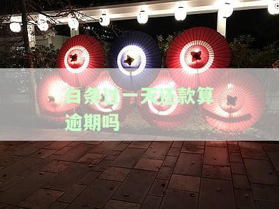 白条过一天还款：会影响信用记录吗？