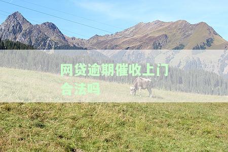 网贷逾期催收上门合法吗，探讨网贷逾期催收上门的合法性问题