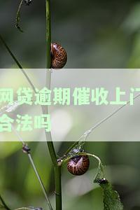 网贷逾期催收上门怎么办，遭遇网贷逾期催收上门？教你应对策略！