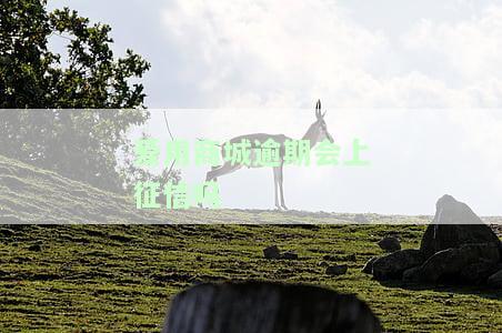 爱用商城逾期会怎么样，警惕！爱用商城逾期可能带来的严重后果