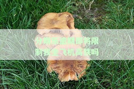 分期乐不还会坐不了高铁？影响其他出行方式吗？