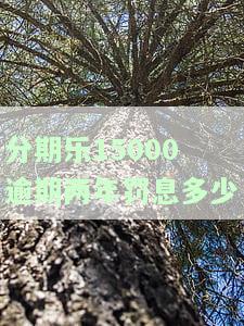 分期乐欠款一万多逾期两年，会被告上法庭吗？
