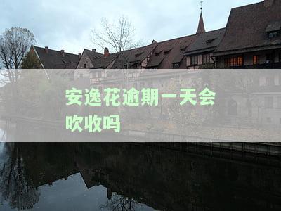 安逸花逾期一天是否会影响后续贷款？