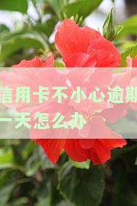 信用卡过了三天忘还了？不用担心！2023年国家出台新政策，详解信用卡宽限期一览表
