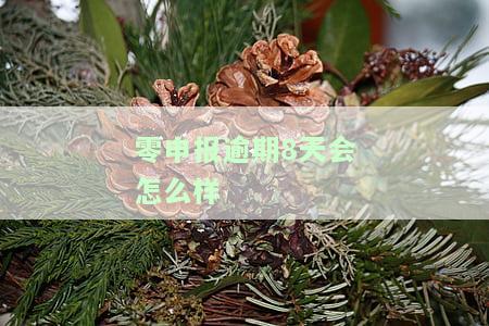 零申报逾期申报需要什么资料，零申报逾期申报所需资料一览