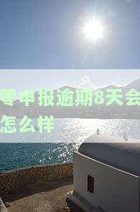 0申报逾期的影响及处理方法，是否会被罚款？