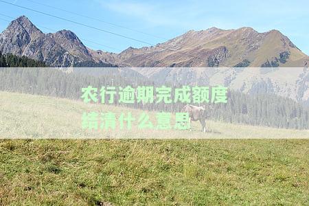 农行逾期还款之后额度还能正常使用么，农行逾期还款后，信用卡额度是否还能继续使用？