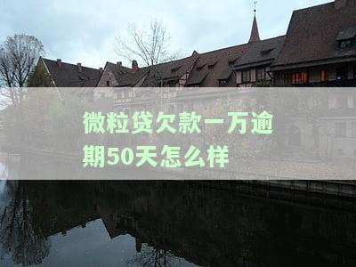 微粒贷欠款一万多多久会被起诉，警惕！欠微粒贷一万多元多久可能被起诉？
