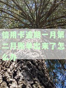 信用卡逾期一月第二月账单出来了怎么办，信用卡逾期一个月，第二个月账单已出，我该怎么办？