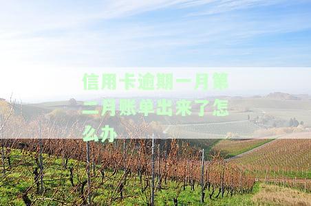 信用卡逾期一月第二月账单出来了怎么办-信用卡逾期一月第二月账单出来了怎么办