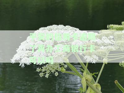 平安银行信用卡逾期，警惕！平安银行信用卡逾期可能带来的严重后果