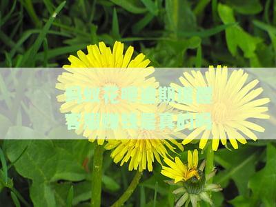 蚂蚁花呗逾期提醒客服赚钱：真实可靠吗？