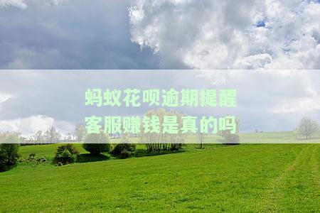 花呗逾期和客服联系后还会有催收吗，咨询客服后仍会催收：花呗逾期问题解答