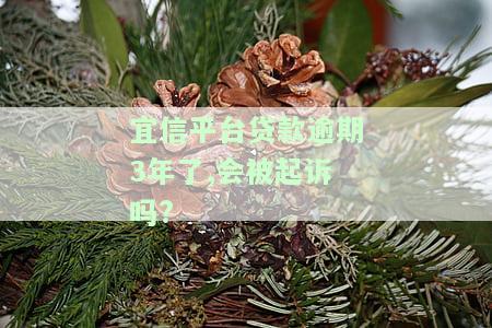 宜信平台贷款逾期3年了,会被起诉吗?-宜信平台贷款逾期3年了,会被起诉吗